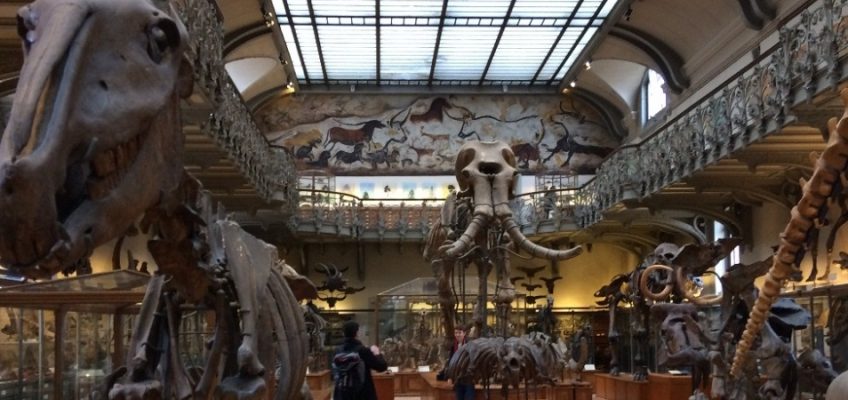 The Zoos and Natural History Museums of Paris