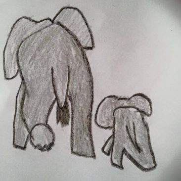 Elephants