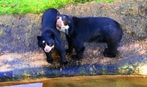 Lola and Alice, the happy mother and daughter