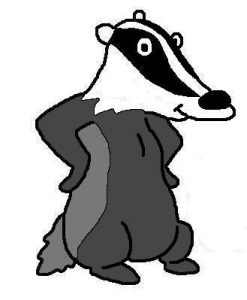 Badger cartoon drawing by David Twamley