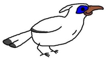 Bali starling cartoon by David Twamley