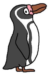 Humboldt's penguin