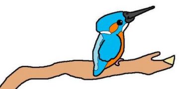 Kingfisher cartoon by David Twamley