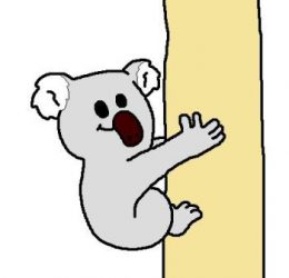 Koala cartoon by David Twamley