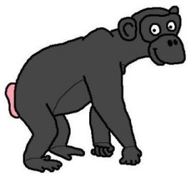 Chimpanzee cartoon by David Twamley