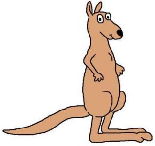 Eastern grey roo cartoon by David Twamley