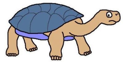 Giant tortoise cartoon by David Twamley