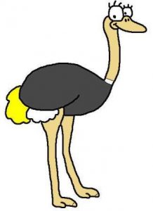 Ostrich cartoon by David Twamley