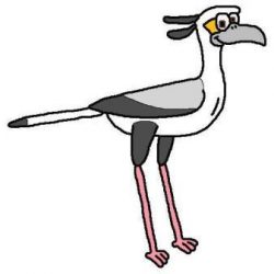 secretarybird