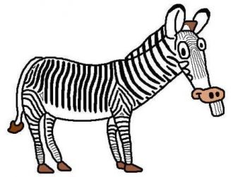 Grevy's zebra