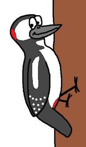 Woodpecker cartoon by David Twamley