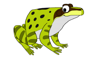 Common frog cartoon by David Twamley