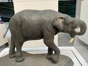 Model of Deinotherium